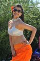 Businessman Kajal Agarwal Hot Spicy Pics