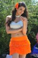 Businessman Kajal Agarwal Hot Spicy Pics