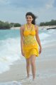 Kajal Hot in Yellow Skirt at Goa Beach
