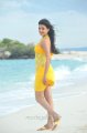 Kajal Hot in Yellow Skirt at Goa Beach