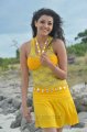 Businessman Kajal Hot Stills