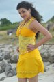 Businessman Kajal Hot Stills