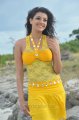 Kajal Hot Images in Businessman