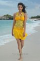 Kajal Hot in Goa Beach for Businessman