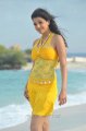 Businessman Kajal Hot Stills