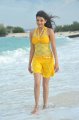 Businessman Kajal Hot Stills