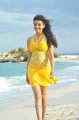 Kajal Hot Images in Businessman