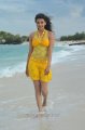 Kajal Hot in Yellow Skirt at Goa Beach