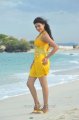 Businessman Kajal Hot Stills