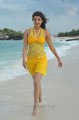 Kajal Hot in Yellow Skirt at Goa Beach