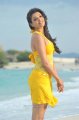 Kajal Hot in Goa Beach for Businessman