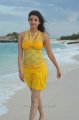 Businessman Kajal Hot Stills