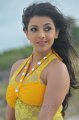 Businessman Kajal Hot Stills