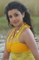 Kajal Hot Images in Businessman