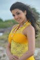 Businessman Kajal Hot Stills