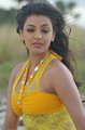 Businessman Kajal Hot Stills