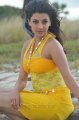 Kajal Hot in Goa Beach for Businessman