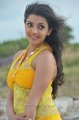 Businessman Kajal Hot Stills