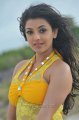 Businessman Kajal Hot Stills