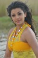 Kajal Hot Images in Businessman