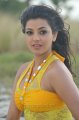 Kajal Hot in Goa Beach for Businessman