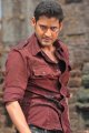 Mahesh Babu Latest Stills in Businessman