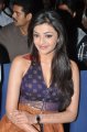 Kajal Agarwal in Businessman Success Meet Pictures