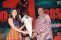 Business Man Success Meet Pictures