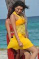Actress Kajal Agarwal in Businessman Tamil Movie Stills