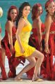 Actress Kajal Agarwal in Businessman Tamil Movie Stills