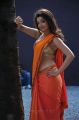 Actress Kajal Agarwal in Business Man Tamil Movie Stills