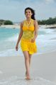 Actress Kajal Agarwal in Businessman Tamil Movie Stills