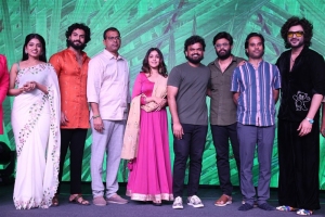 Butta Bomma Movie Pre Release Event Stills