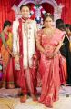 BVSN Prasad Daughter Prasanna weds Srinivas Photos