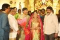 Balakrishna @ C Kalyan son Teja - Naga Sree Wedding Reception Photos