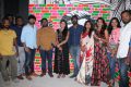 CAFINO Game Yard Launch Stills