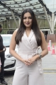 Actress Catherine Teresa flagged off Limousine Cabs Hyderabad