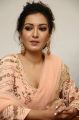 Catherine Tresa Cute Photos @ Aruvam Movie Press Meet