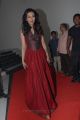 Actress Catherine Tresa Photos at Iddarammayilatho Audio Release