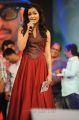 Katherine Theresa Photos at Iddarammayilatho Audio Release