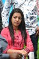 Paisa Movie Heroine Catherine Tresa Stills