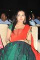Telugu Actress Catherine Tresa Beautiful Stills in Silk Half Saree