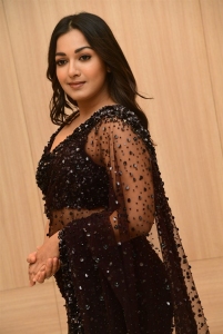 Actress Catherine Tresa Black Saree Pics @ Bhala Thandanana Pre-Release