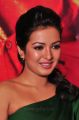 Kathakali Actress Catherine Tresa Green Dress Stills