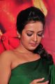 Kathakali Actress Catherine Tresa Green Dress Stills