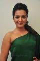 Kathakali Actress Catherine Tresa Green Dress Stills