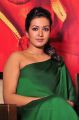 Actress Catherine Tresa Green Dress Stills