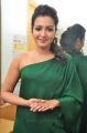 Actress Catherine Tresa Green Dress Stills