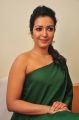 Actress Catherine Tresa Green Dress Stills