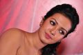 Tamil Actress Catherine Tresa Latest Stills